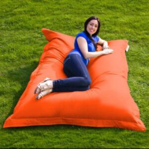 Bean Bag 12- 120  CMS